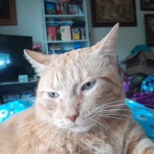 Fundraising Page: Sarah Dickson